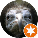 Krecstu profile picture